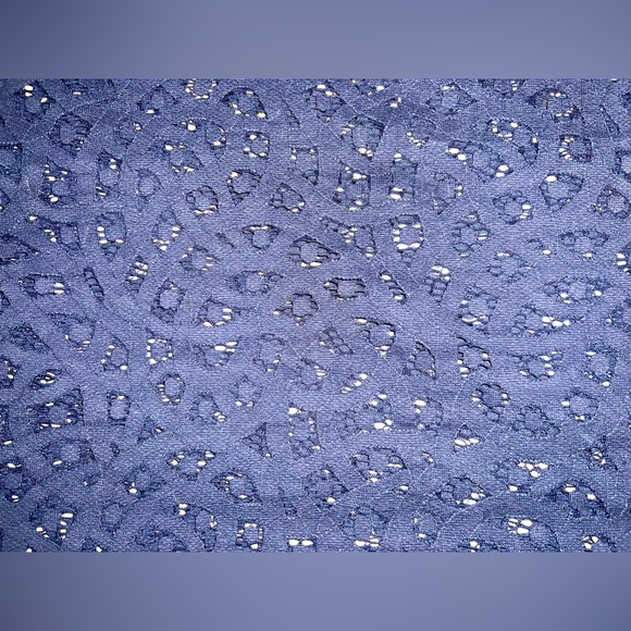 Petite Small LOFT Blue Lace Top 💙🥰✨ - Picture 5 of 5